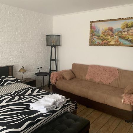 Garsoniera 1 Decembrie Apartment Alba Iulia Bagian luar foto